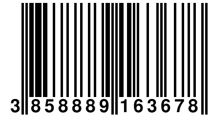 3 858889 163678