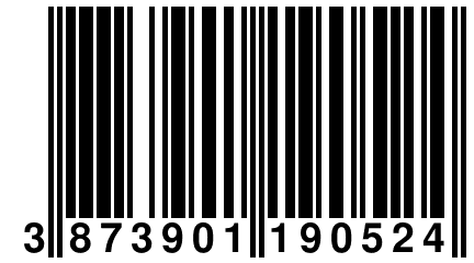 3 873901 190524