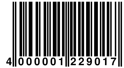 4 000001 229017