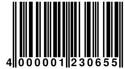 4 000001 230655