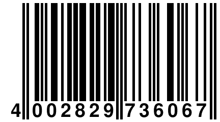 4 002829 736067