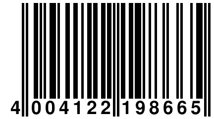 4 004122 198665