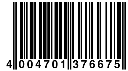 4 004701 376675
