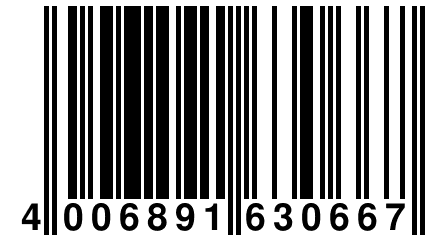 4 006891 630667