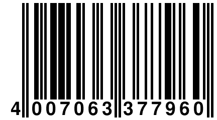 4 007063 377960