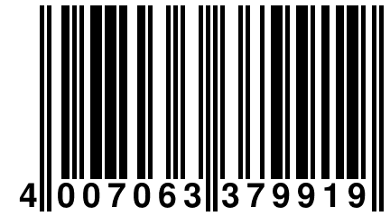 4 007063 379919