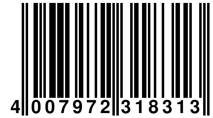 4 007972 318313