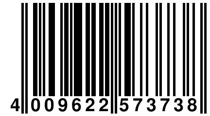 4 009622 573738