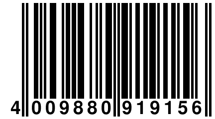 4 009880 919156