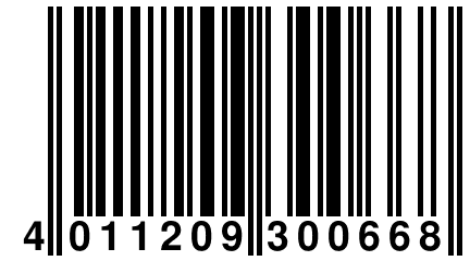 4 011209 300668