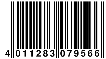 4 011283 079566