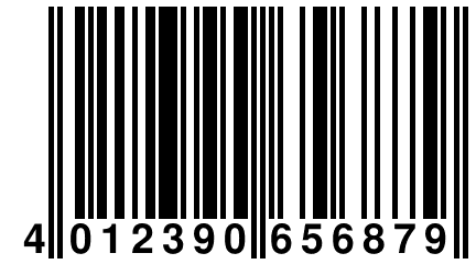 4 012390 656879