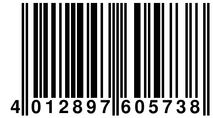 4 012897 605738