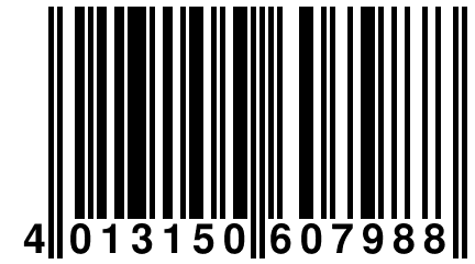 4 013150 607988