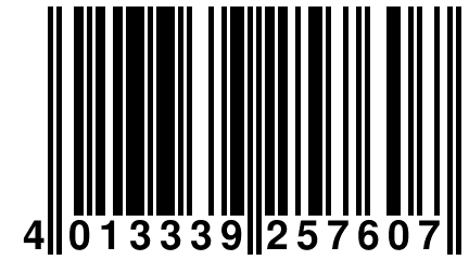 4 013339 257607
