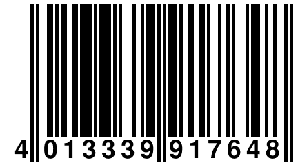 4 013339 917648