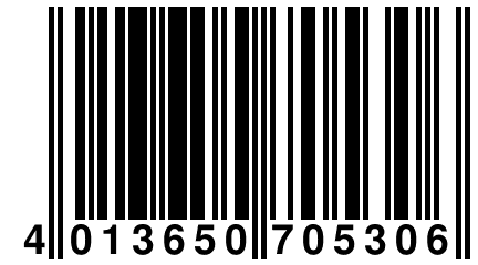 4 013650 705306