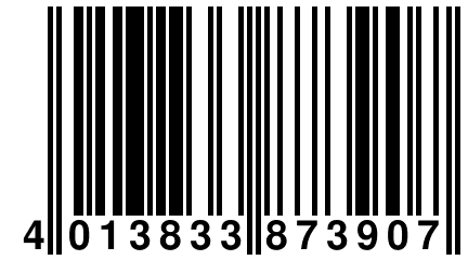 4 013833 873907