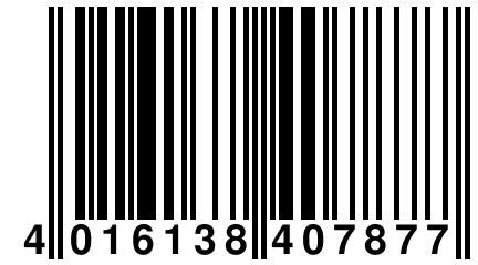 4 016138 407877