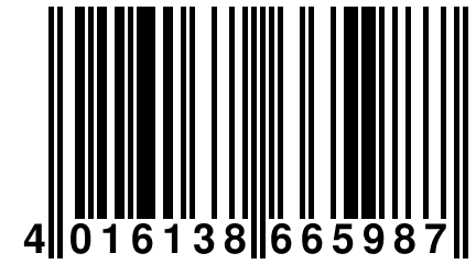 4 016138 665987