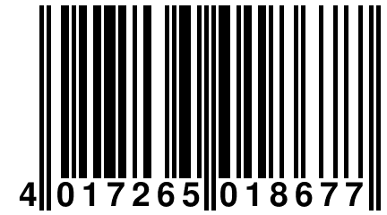 4 017265 018677