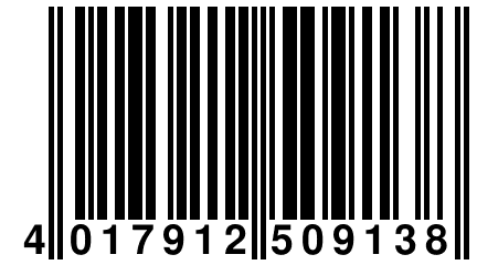 4 017912 509138