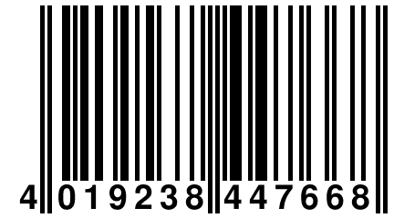 4 019238 447668