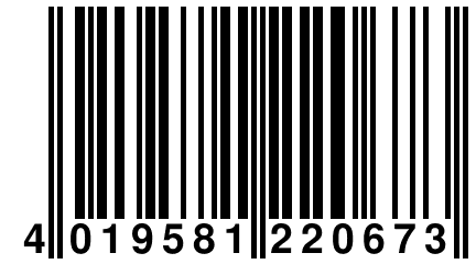 4 019581 220673