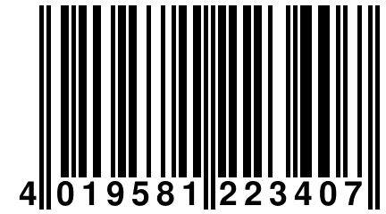 4 019581 223407