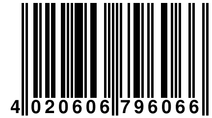 4 020606 796066
