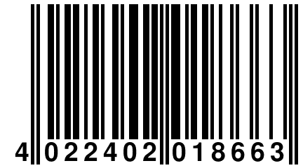 4 022402 018663