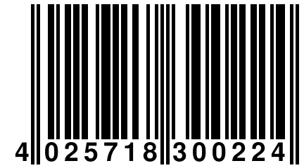 4 025718 300224