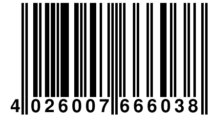 4 026007 666038
