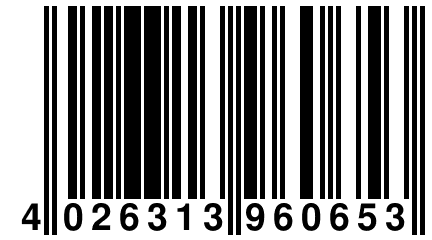 4 026313 960653