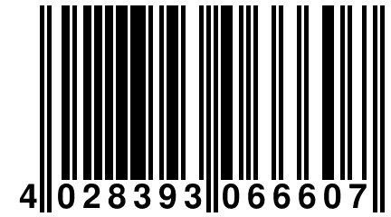 4 028393 066607