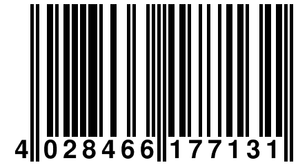 4 028466 177131