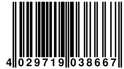4 029719 038667
