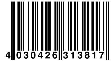 4 030426 313817