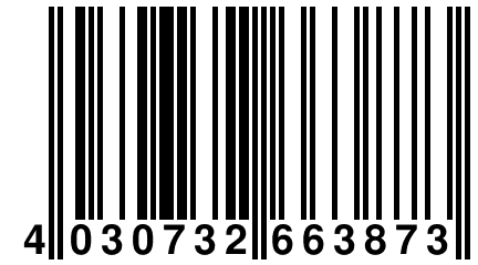 4 030732 663873