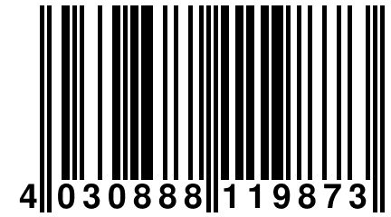 4 030888 119873