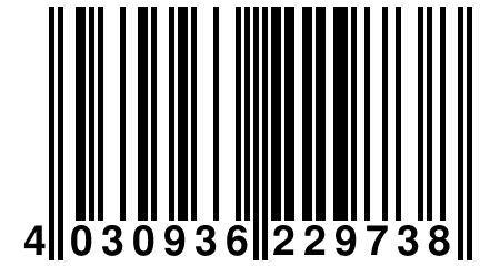4 030936 229738