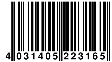 4 031405 223165