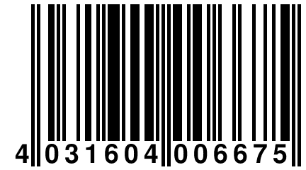 4 031604 006675