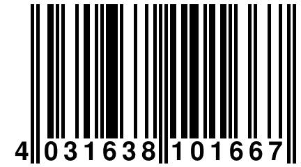 4 031638 101667