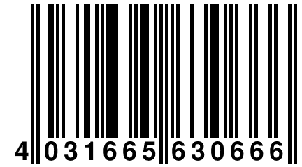 4 031665 630666