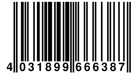 4 031899 666387