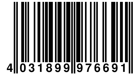 4 031899 976691
