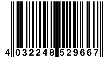 4 032248 529667