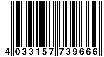 4 033157 739666