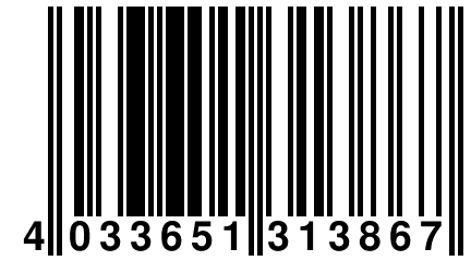 4 033651 313867